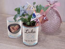 Windlicht mit Geld-Fischen zur Taufe