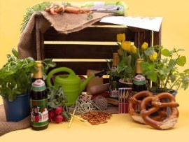 Geldgeschenk Biergarten