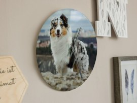 Wanduhr mit Hundefoto