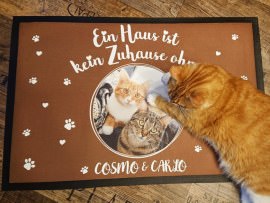 Fußmatte mit Katzen