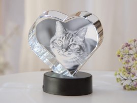 Glasherz fmit Katzenfoto