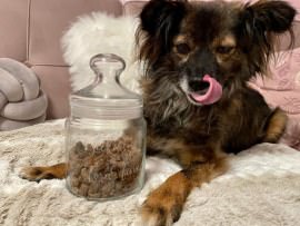 Foxundfine Glas für Hunde-Leckerlis