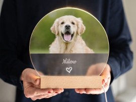 LED-Lampe mit Hundefoto
