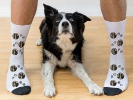 Bedruckte Socken für Hundebesitzer