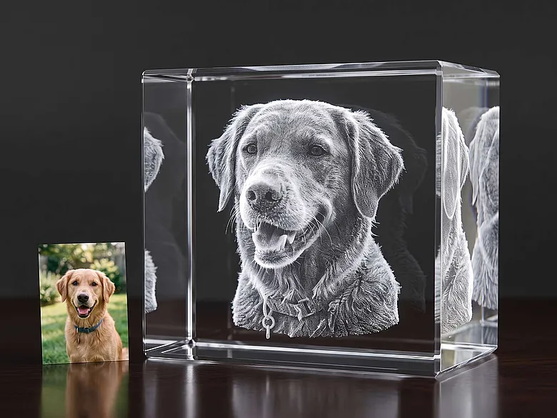 3D Foto in Glas gelasert Hund