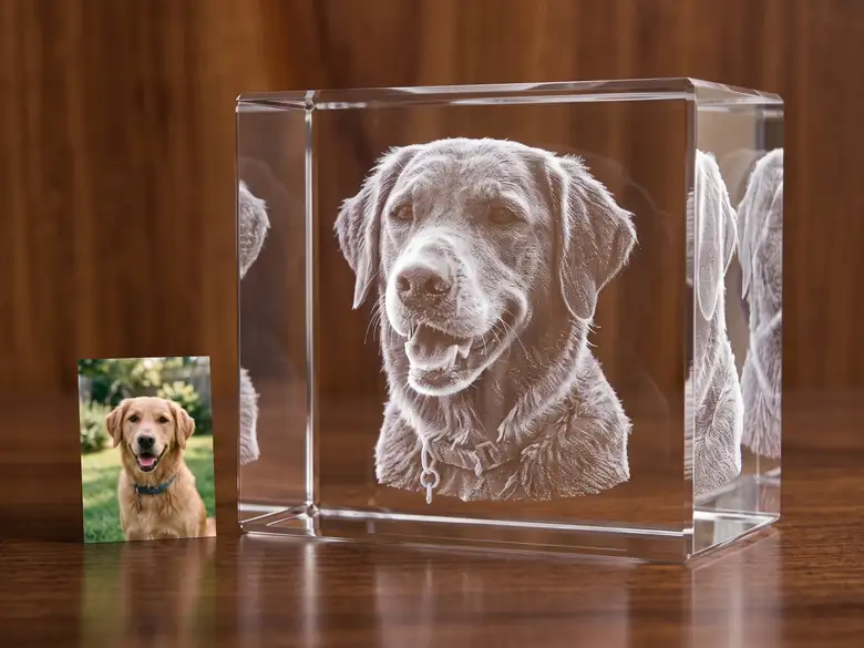 Beispielbild 3D-Glasfoto Hund
