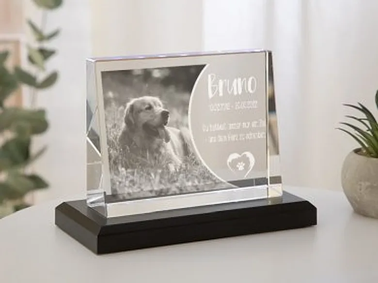 Glasfoto Trauergeschenk Hund