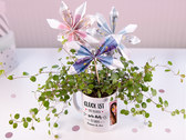 Blumen verschenken in Tasse