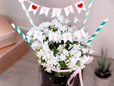 Blumengeschenke verschicken – Blumen & Geschenke