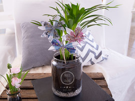 Blumengeschenke basteln