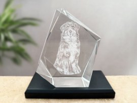 3D Glaskristall Hund