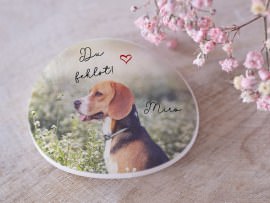 Gedenkstein Hund