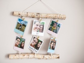 Deko-Ast mit Fotos selbst basteln
