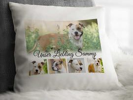 Kissen mit Hundefotos