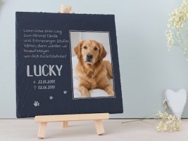 Schieferplatte Gedenktafel Hund