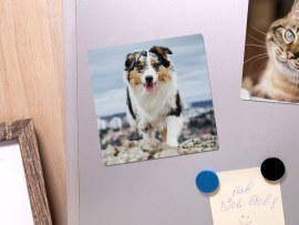 Retro-Magnete mit Fotos