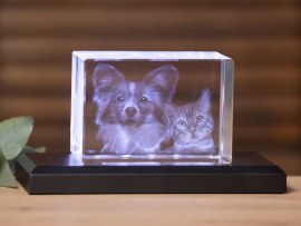 3D Glasfoto Familie