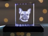 3D Glasfoto