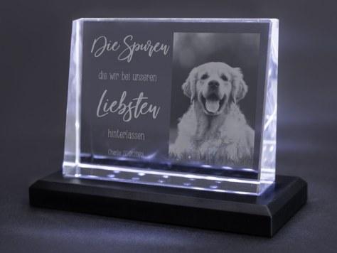 Glasfoto als Gedenkbild Tier