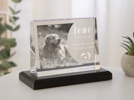 Glasfoto Trauer Hund