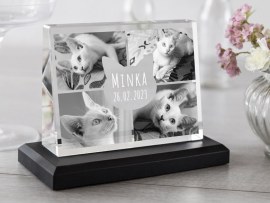 Glasfoto Trauer Katze