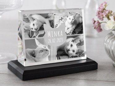 Glasfoto Trauer Katze