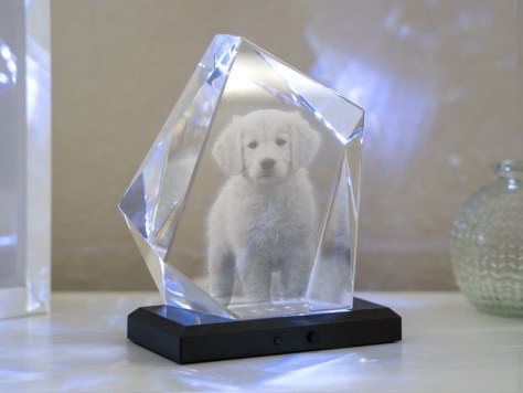 Glaskristall mit Foto Hund