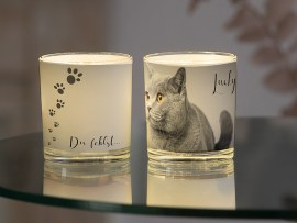 Windlicht Trauer Katze