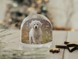 Schneekugel mit Foto